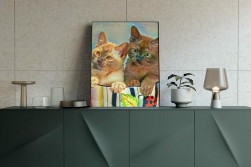 Katzen tasse bild - katzen, in