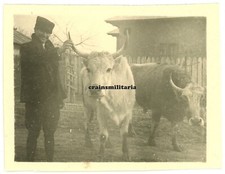 Orig. Foto rumänische Bauer