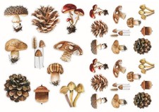 Ausschneidebogen-Bastelpapier-