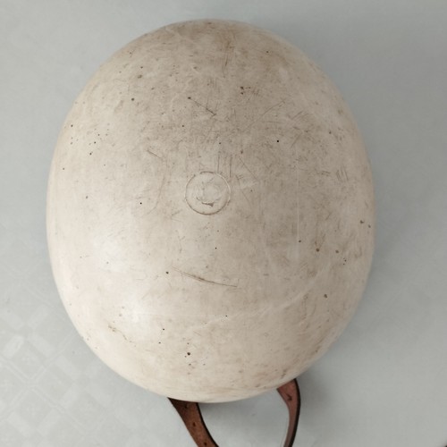 Ddr helm wilde halbschale - wilde,