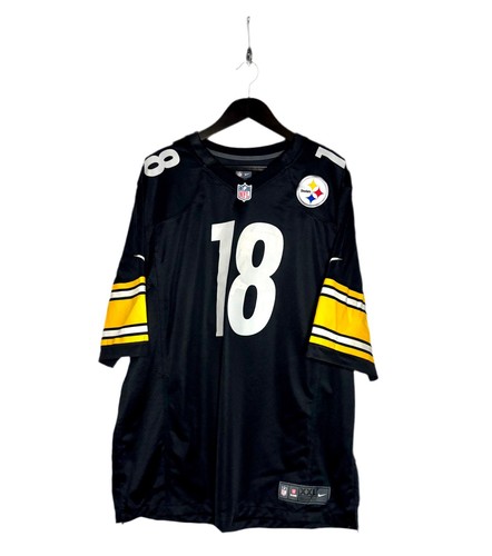 Pittsburgh steelers nfl - pittsburgh,