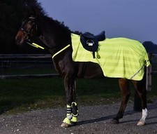 Busse Ausreitdecke Reflection