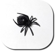 Miniatur Spinne, 2 Stück, Neu