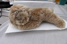 Steiff Floppy Raudi 5637.17 mit Knopf und Fahne, 70er