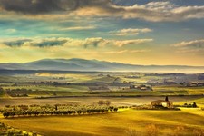 Wandbild toskana maremma - wandbild:,