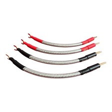 Chord Shawline X Speaker