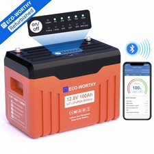 ECO-WORTHY 12V 100Ah LiFePO4