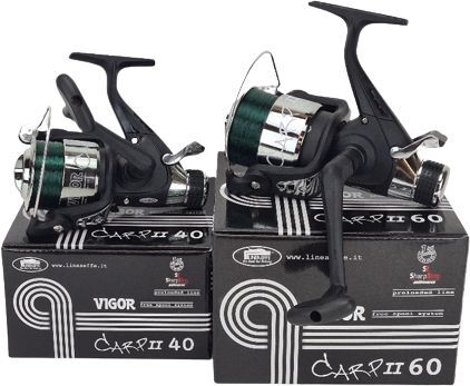 Lineaeffe vigor carp - carp, ii