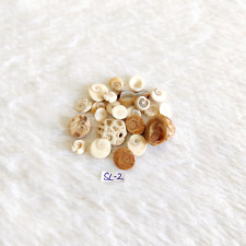 Vintage Altes Schöne Muschel Selten Dekorativ Sammlerstück Requisiten SL2 23 Pcs