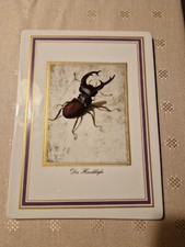 Seltmann Weiden Porzellan