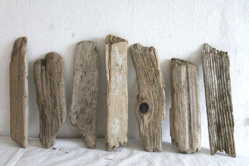 Schwemmholz treibholz 7 - schwemmholz,