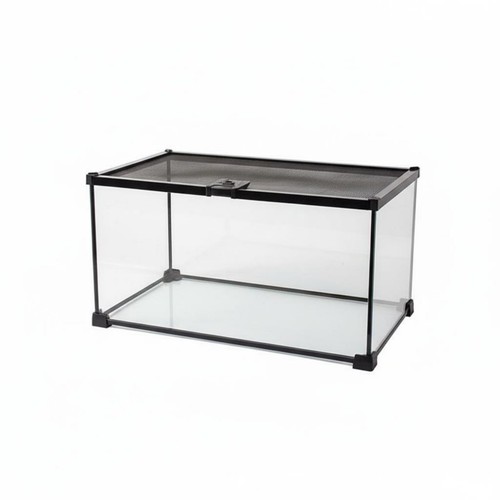 Glasterrarium