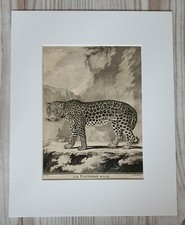 1767 Lithographie Kunstdruck