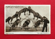 AK HAMBURG Stellingen 1916 Hagenbeck Löwen Dressur mit Dompteuer  ( 53469