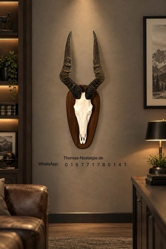 Kuhantilope trophäe mit - kuhantilope,