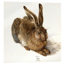 Acrylglasbild hase albrecht - hase,