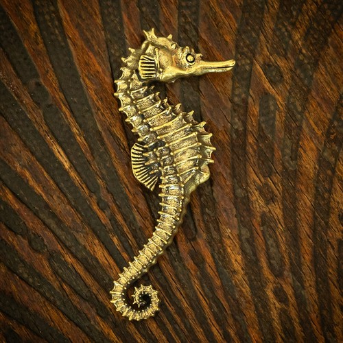 Messing seepferd accessoires - seepferd,