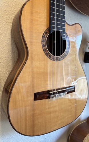 Meistergitarre franziska - meistergitarre,