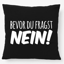 Kissen Bevor du fragst Nein
