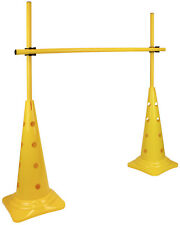 Kegel 50 Hürdenset mit Stangen 100 cm Agility Hürde Sportikel24