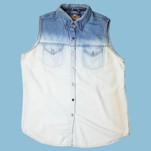 Vintage harley davidson - vintage, denim