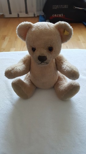 Steiff teddybär - ,