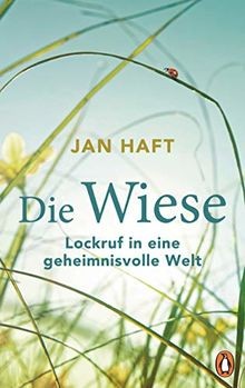 Die wiese lockruf eine - die, in