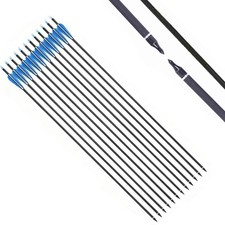 12X 30" Carbon Pfeile
