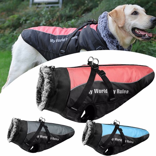 Hundemantel wasserdicht hunde - wasserdicht,