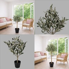 Naturgetreu Oliven Baum 3