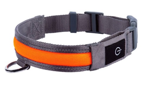 Hundehalsband leuchthalsband - hundehalsband,