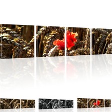 Bilder Mohnblume Weizen Bilder Wandbild Leinwand