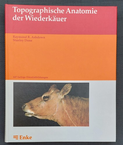 Topographische anatomie der - anatomie,