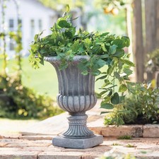 Blumentopf pokal amphore - blumentopf,