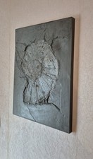 Dekoratives Fossil-Wandobjekt