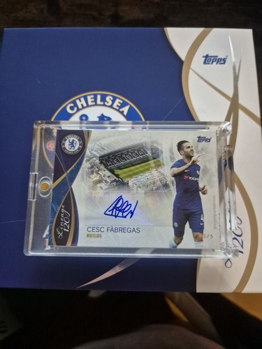 2024 chelsea lineage - lineage, 120