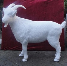 GEIßBOCK LEBENSGROß