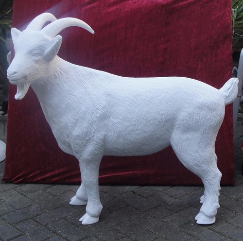 Geißbock lebensgroß - geißbock,