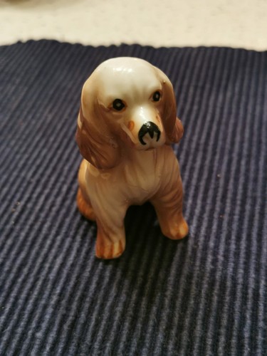 Cocker spaniel - cocker,