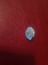  Alte Anstecknadel Souvenir