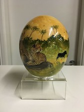 Straussenei Afrikanische