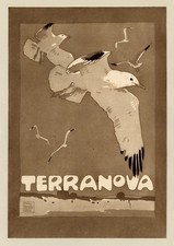 Terranova Plaster 1909 German