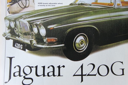 Original jaguar 420g - original, 420g,