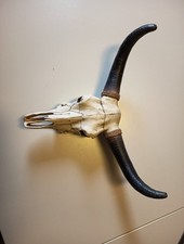 Wandskulptur  „ Longhorn Rinderschädel “ , aus stabilem Kunststoff
