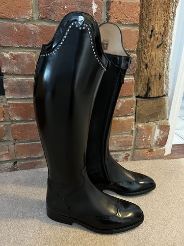 Neu petrie significant dressur - neu,