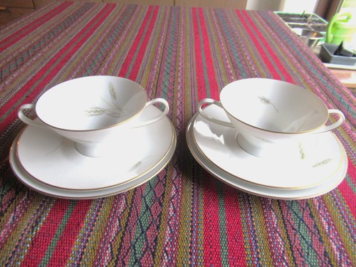 Rosenthal suppentassen - rosenthal,