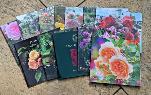 David austin rosenhandbuch - austin,