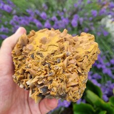 ?Video?Top Sauzahn Meisselspat Baryt Stufe 12x9x6,5cm Grube Clara Schwarzwald