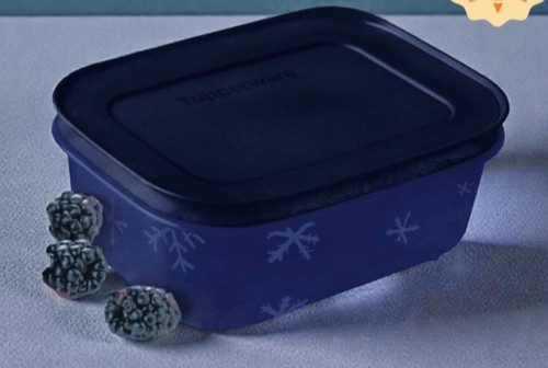 Tupperware eiskristall - tupperware,