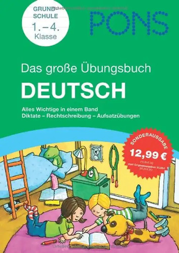 Pons das große - pons,